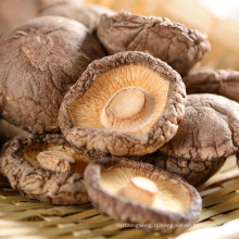 champignon séché --- lentinus edodes séchées sans tige